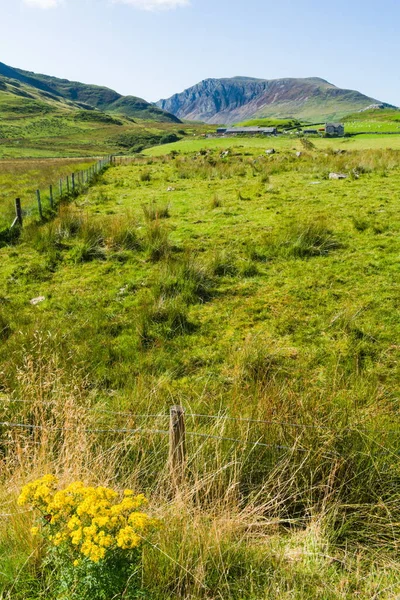 Magnifique Parc National Snowdonia Pays Galles Paysage Montagneux Spectaculaire Maure — Photo