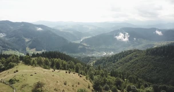 İnsansız hava aracı dağların üzerinde uçuyor. Karpatya doğasının hava görüntüsü. Yeşil ağaçlarla dolu yoğun bir ahşap. Yüksek Çamların tepeleri. — Stok video