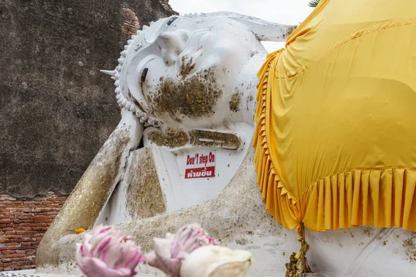 antika Buda heykeli, Ayutthaya, Tayland