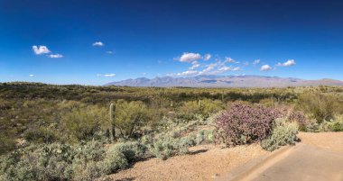 Çölün tarifsiz güzelliği.