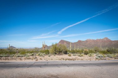 Çölün tarifsiz güzelliği.
