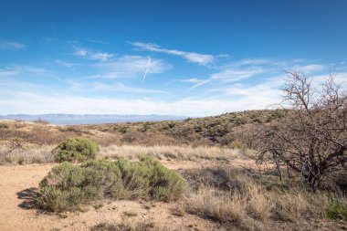 Çölün tarifsiz güzelliği.