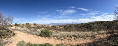 Çölün tarifsiz güzelliği.