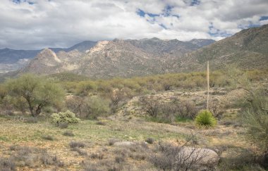 Çöl manzarasında güzel dağlar