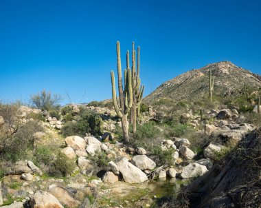 Güzel Arjantin Çöl Manzarası