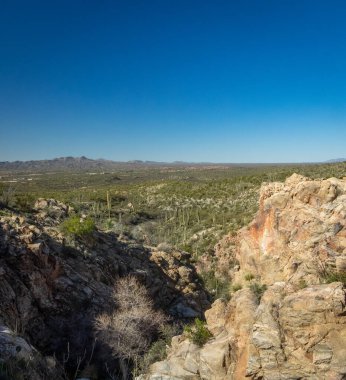 Güzel Arjantin Çöl Manzarası