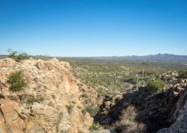 Güzel Arjantin Çöl Manzarası