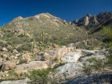 Güzel Arjantin Çöl Manzarası