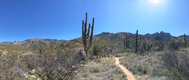 Güzel Arjantin Çöl Manzarası