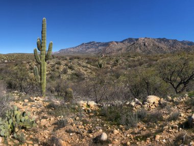 Güzel Arjantin Çöl Manzarası