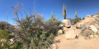 Güzel Arjantin Çöl Manzarası