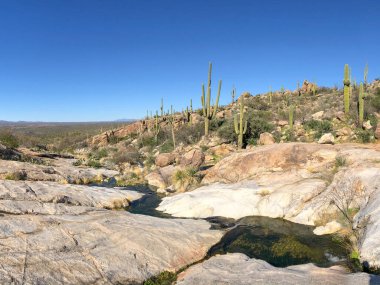 Güzel Arjantin Çöl Manzarası