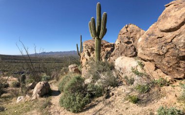 Güzel Arjantin Çöl Manzarası