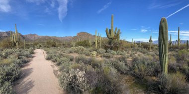 Güzel Arjantin Çöl Manzarası