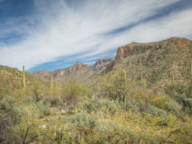 Güzel Arjantin Çöl Manzarası