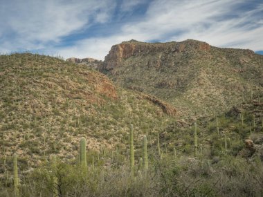 Güzel Arjantin Çöl Manzarası