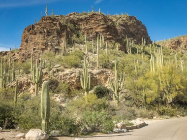 Güzel Arjantin Çöl Manzarası