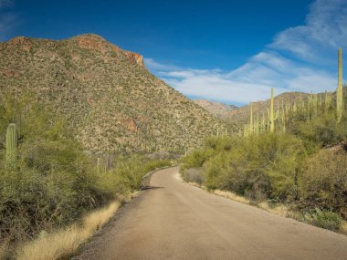 Güzel Arjantin Çöl Manzarası
