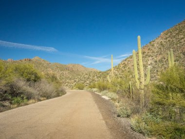 Güzel Arjantin Çöl Manzarası