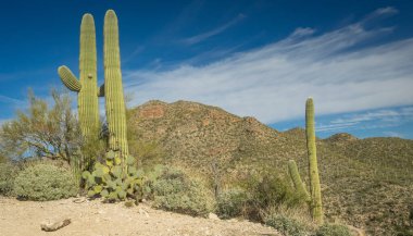 Güzel Arjantin Çöl Manzarası