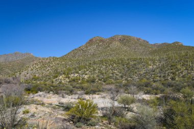 Güzel Arjantin Çöl Manzarası