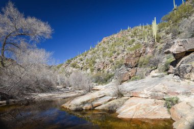 Güzel Arjantin Çöl Manzarası