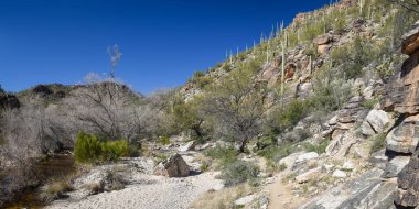 Güzel Arjantin Çöl Manzarası