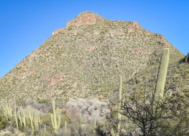 Güzel Arjantin Çöl Manzarası