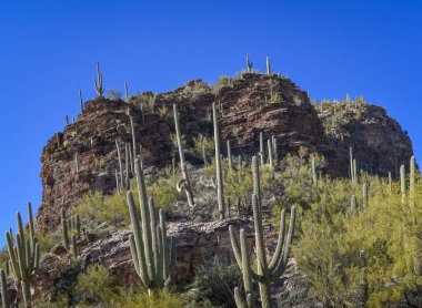 Güzel Arjantin Çöl Manzarası