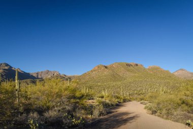 Güzel Arjantin Çöl Manzarası