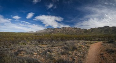 Güzel Arjantin Çöl Manzarası