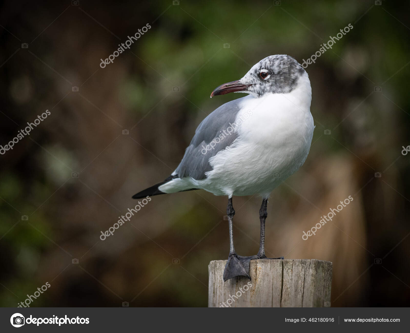 Bit Sized Pictures Bit Sized Stock Photos Images Depositphotos Bit Sized Pictures Bit Sized Stock Photos Images Depositphotos