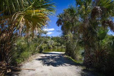 Güzel ve doğal Floridalı Parkı