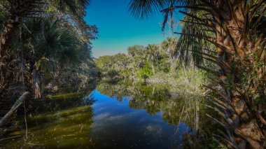 Güzel ve doğal Floridalı Parkı