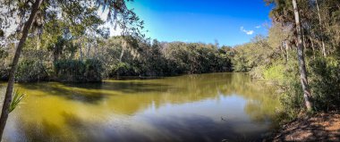 Güzel ve doğal Floridalı Parkı