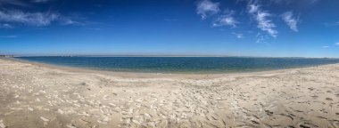 Güzel ve doğal Floridalı Parkı