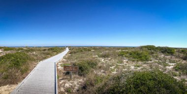 Güzel ve doğal Floridalı Parkı