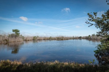 Güzel ve doğal Floridalı Parkı