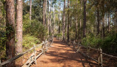 Güzel ve doğal Gürcü Parkı