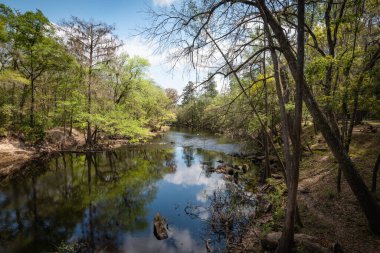 Suyu olan güzel Floridalı manzarası