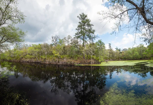 Prachtig Floridisch Landschap Met Water — Stockfoto