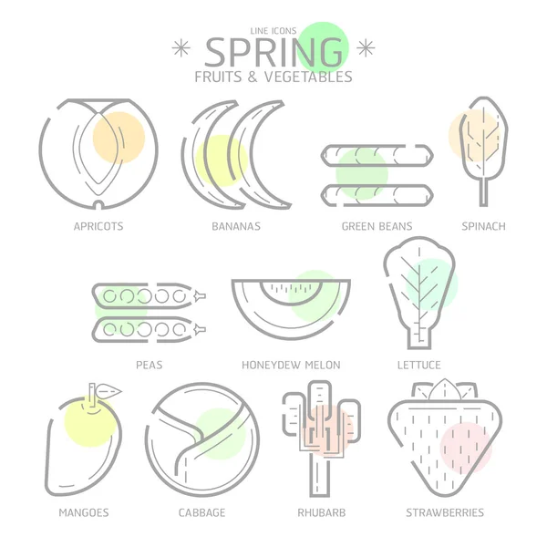 Liniensymbole Frühlingsfrüchte und -gemüse mit Farbfleck, Vektor — Stockvektor