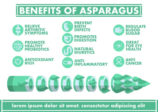 Kuşkonmaz Infographics - vektör düz tasarımı faydaları