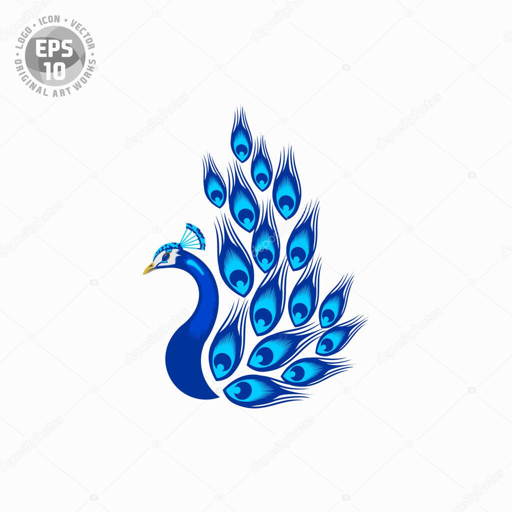 Abstract peacock logo vector template