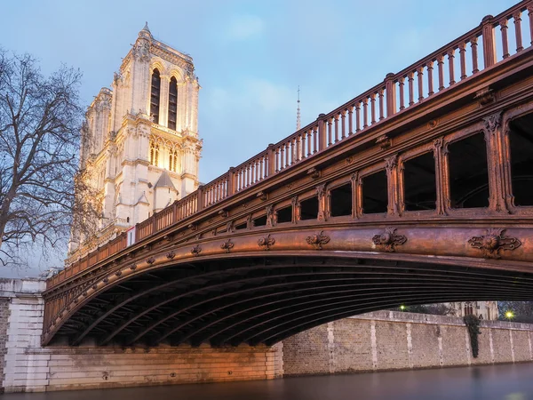 Paris: catedral Notre Dame e ponte Pont au double — Fotografia de Stock