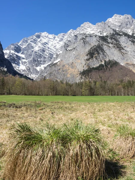 Landschaft an den bayerischen Alpen, Deutschland — Stockfoto