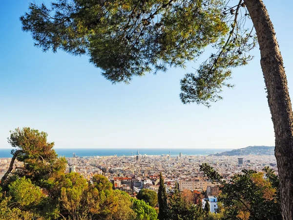 Vista aérea de Barcelona com árvore em primeiro plano — Fotografia de Stock