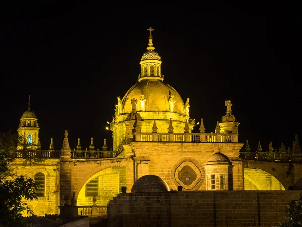 Domkyrkan San Salvador i Jerez de la Frontera på natten — Stockfoto