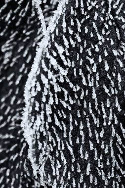 Donmuş çilek yaprağı desenini kapat