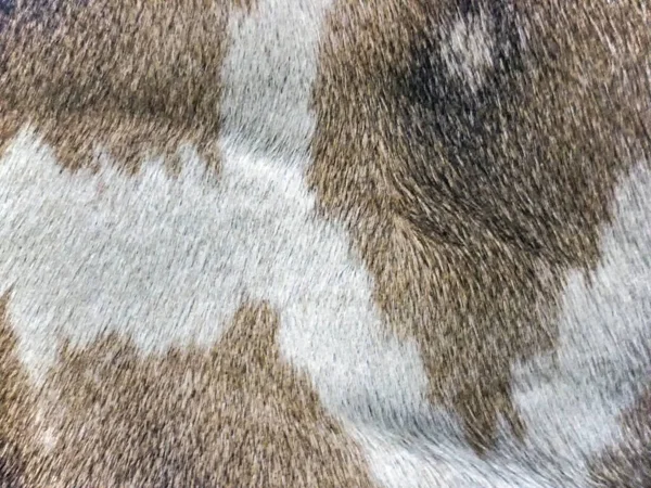 Close Giraffe Fur Background —  Fotos de Stock